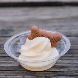 Ice Cream Time - Pup cup for dogs!