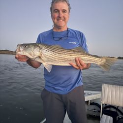 Striper Tom