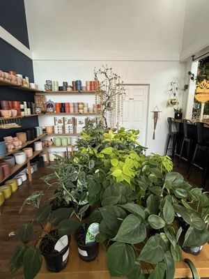 Greenhouse Coffee + Plants by null