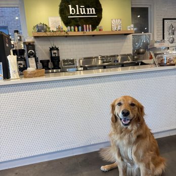 Blūm - Charlie LOVED his visit to Blum Coffe + Wine bar - Coffee & Tea Near Me - Charleston, South Carolina Blūm - Charlie LOVED his visit to Blum Coffe + Wine bar - Coffee & Tea Near Me - Charleston, South Carolina