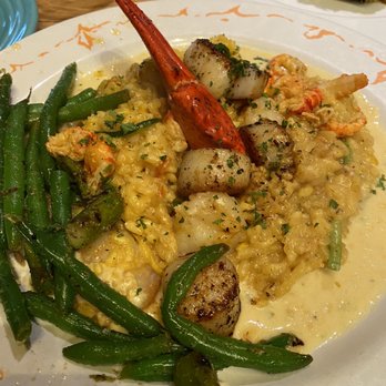 Ulele - Seafood Risotto - New American Near Me - Tampa, Florida
