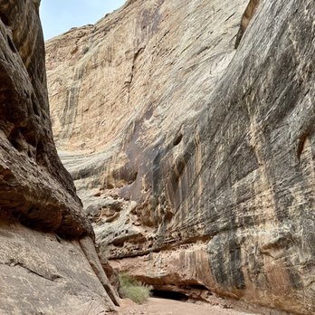Capitol Reef National Park - Parks Near Me - Fruita, Utah
