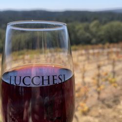 Lucchesi Vineyards & Winery