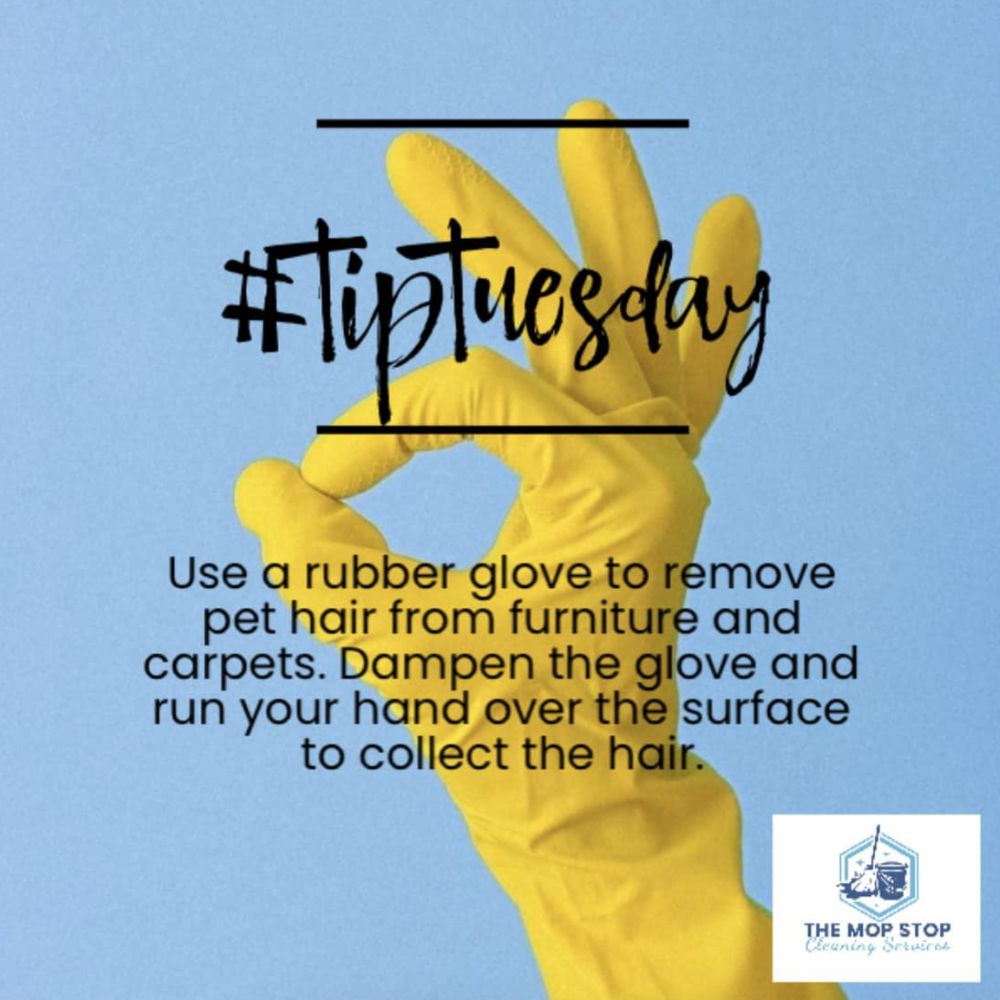 THE MOP STOP CLEANING SERVICES Updated May 2024 Request a Quote