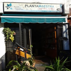 Planta Maestra