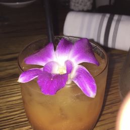 Cocktail Cocktail