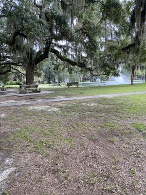 Daffin Park by null