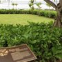 Photo of Kihahouna Heiau