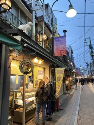 Yanaka Ginza by null