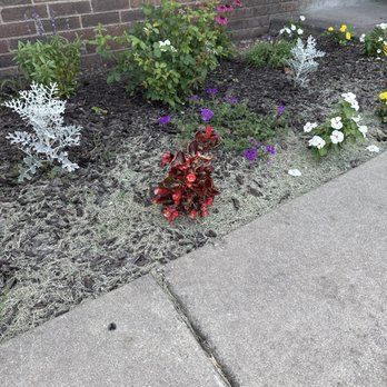 Kalc lawn care - Front garden bed - Lawn Services Near Me - Centerton, Arkansas