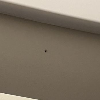Camelback Resort - Bug infestation - Resorts Near Me - Tannersville, Pennsylvania