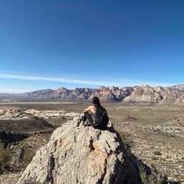 VIEWS