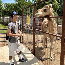 Lost Creek Safari - Saying hello to a camel
