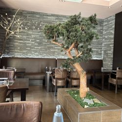 Hanabi Sushi House