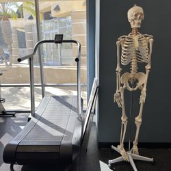 Rehab United Physical Therapy - Point Loma - Not a patient. I swear.