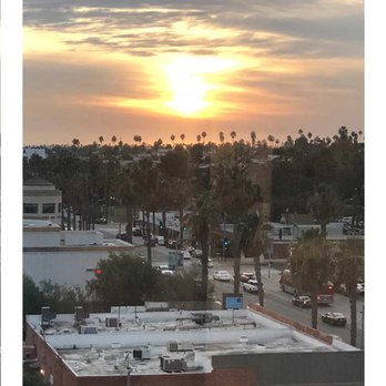 Angela Aiello, LMFT, PhD - View from my office window - Psychologists Near Me - Santa Monica, California Angela Aiello, LMFT, PhD - View from my office window - Psychologists Near Me - Santa Monica, California