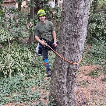 Acreage Tree Service - Lance - Tree Services Near Me