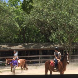 Miami International Riding Club