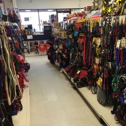 best deshedding tools