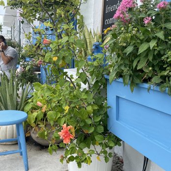 Mandolin Aegean Bistro - Mediterranean Near Me - Miami, Florida
