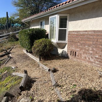 D&G Gardening - Dead plant removal and bush trim. - Lawn Services Near Me D&G Gardening - Dead plant removal and bush trim. - Lawn Services Near Me