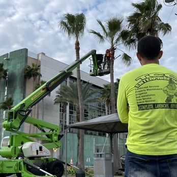 TCC Enterprise - Tree service - Junk Removal & Hauling Near Me - Thonotosassa, Florida TCC Enterprise - Tree service - Junk Removal & Hauling Near Me - Thonotosassa, Florida