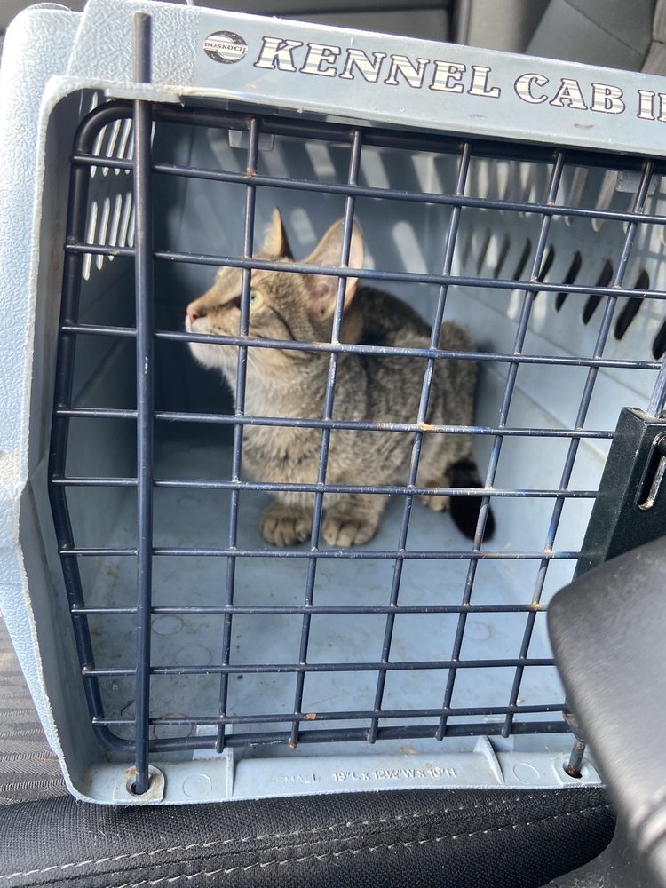 BELTSVILLE VETERINARY HOSPITAL Updated August 2024 50 Reviews