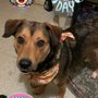 Photo of Petsense