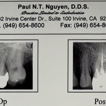 Thành Nguyễn　4box PAUL N T NGUYEN, DDS - Updated October 2025 - 174 Reviews