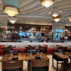 Novikov Miami