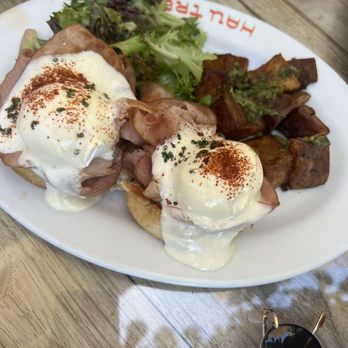 Hau Tree - Benedict - Seafood Near Me - Honolulu, Hawaii Hau Tree - Benedict - Seafood Near Me - Honolulu, Hawaii