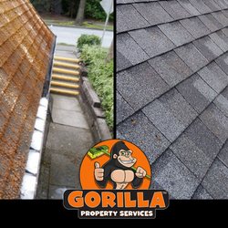 Gorilla Property Servcies - Roof Cleaning