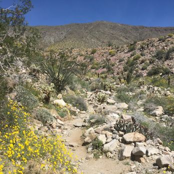 Tamarisk Grove Campground - Campgrounds Near Me - Julian, California