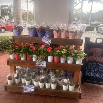 Trader Joe's - Flowers - Grocery Near Me - Coral Springs, Florida