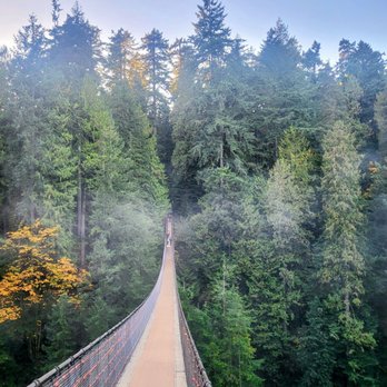 Capilano Suspension Bridge Park - Parks Near Me - North Vancouver, British Columbia