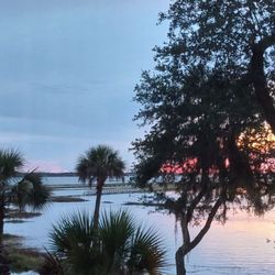 The Sandbar