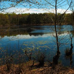 Piney Orchard Nature Preserve - A view of Duck Cove Pond.