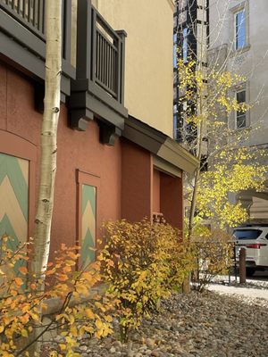Vail Ski Resort by null