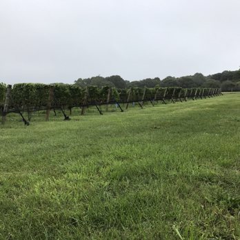 Channing Daughters Winery - Wineries Near Me - Bridgehampton, New York