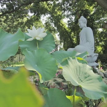 Dong Hung Buddhist Temple - Buddha statue at Dong Hung Temple - Buddhist Temples Near Me - Virginia Beach, Virginia Dong Hung Buddhist Temple - Buddha statue at Dong Hung Temple - Buddhist Temples Near Me - Virginia Beach, Virginia