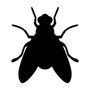 Photo of Beug Pest Management