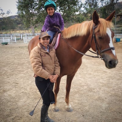 Le Cheval Sport Horses by null