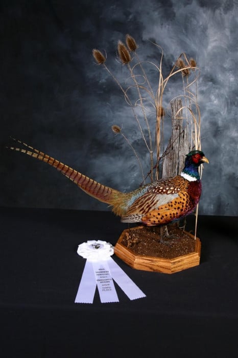 Animal Family Pet Preservation - taxidermy in Circleville, OH