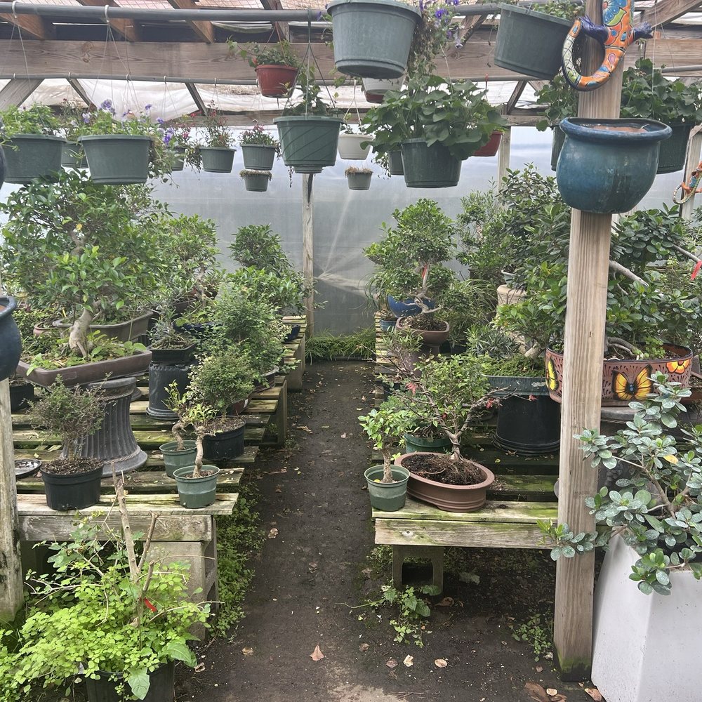 JRN Nursery - Bonsai - Nurseries & Gardening Near Me - Houston, Texas JRN Nursery - Bonsai - Nurseries & Gardening Near Me - Houston, Texas