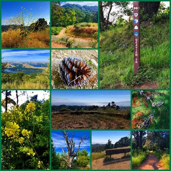 Seaview Trail At Inspiration Point - Montage of images from the Seaview Trail - Hiking Near Me - Berkeley, California Seaview Trail At Inspiration Point - Montage of images from the Seaview Trail - Hiking Near Me - Berkeley, California