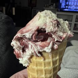 Bruster's Real Ice Cream