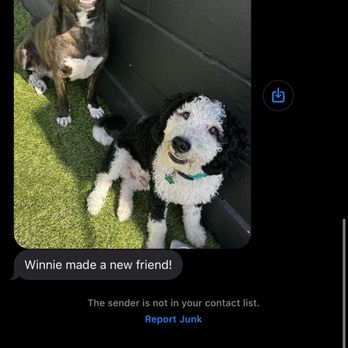 No Leash Needed - Pet Training Near Me - St. Louis, Missouri