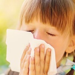 Tampa Allergy Center - Jack Parrino MD