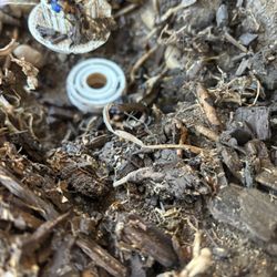 The Dependable Plumber