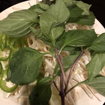 Pho Today - Vietnamese Near Me - South Plainfield, New Jersey Pho Today - Vietnamese Near Me - South Plainfield, New Jersey